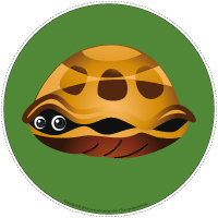 Mon chemin de tortues Mon chemin de tortues
