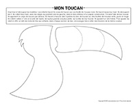 Mon toucan