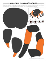 Morceaux daraignee-geante