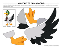 Morceaux de canard-geant