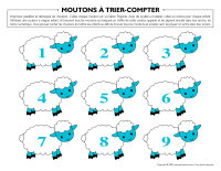 Moutons à trier compter