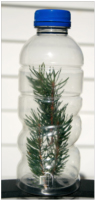 Noël-Bouteilles de découvertes-3 Noël-Bouteilles de découvertes-3