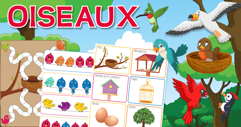 Les oiseaux, activités et bricolages sur les oiseauxl Animaux - Tête à  modeler