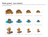 Petit-grand-Les castors