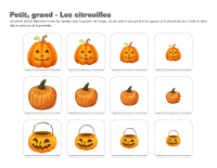 Petit-grand-Les citrouilles Petit-grand-Les citrouilles
