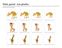 Petit grand-Les girafes