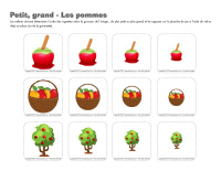Petit grand-Les pommes