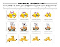 Petit-grand-Mammifères