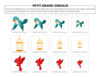 Petit-grand-Oiseaux