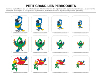 Petit-grand-Perroquets