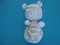 Petit ours polaire-5