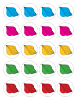 Petits coquillages Petits coquillages