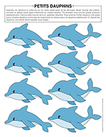 Petits dauphins 2023