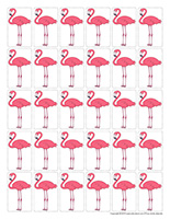 Petits flamants roses