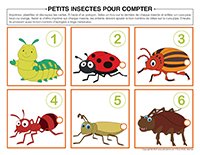 Petits insectes pour compter