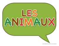 Photomaton-Animaux-1