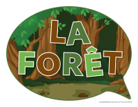 Photomaton-Forêt-1