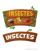 Photomaton-Insectes