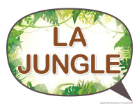 Photomaton-Jungle-1