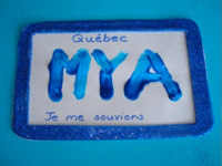 Plaque d’immatriculation bleue-8