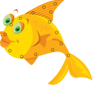 Poisson à lacer Poisson à lacer