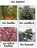 Poni découvre et présente - Les arbres