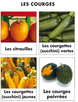 Poni découvre et présente - Les courges