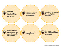 Poni decouvre et presente-Araignees-1