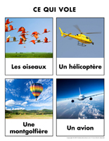 Poni découvre et présente-Ce qui vole Poni découvre et présente-Ce qui vole
