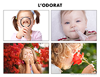 Poni découvre et présente-L'odorat Poni découvre et présente-L'odorat