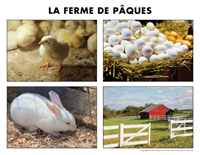 Poni découvre et présente-La ferme de Pâques