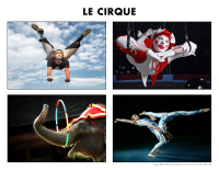 Poni découvre et présente-Le cirque Poni découvre et présente-Le cirque