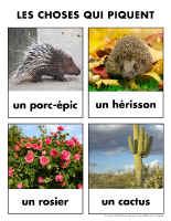 Poni découvre et présente-Les choses qui piquent Poni découvre et présente-Les choses qui piquent