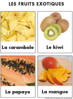 Poni-découvre et présente-Les fruits exotiques