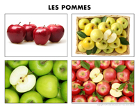 Poni découvre et présente-Les pommes-2