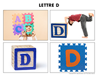 Poni découvre et présente-Lettre D Poni découvre et présente-Lettre D
