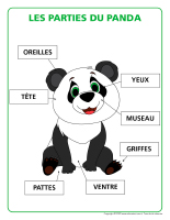 Poni découvre et présente-Pandas