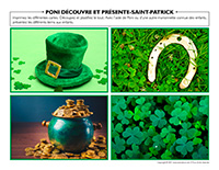 Poni découvre et présente-Saint-Patrick