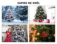 Poni découvre et présente-Sapin de Noël