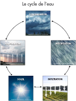 Poni présente - Le cycle de l'eau