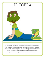 Postures yoganimaux Postures yoganimaux