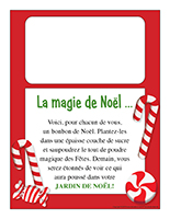 Recette-Jardin de Noël