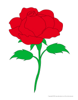 Roses en couleurs Roses en couleurs