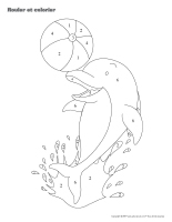 Rouler et colorier-Dauphins