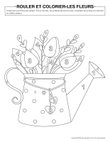 Rouler et colorier-Fleurs