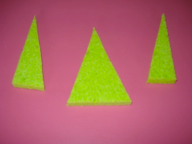 Sapin-éponge - 4 Sapin-éponge - 4