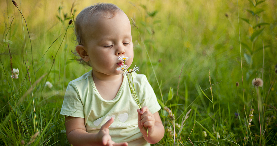 Sentir, activités pour enfants de 0 à 36 mois.