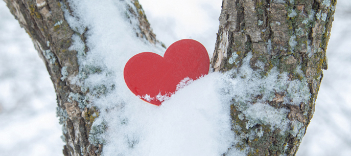 La chasse aux couleurs de l�amiti�