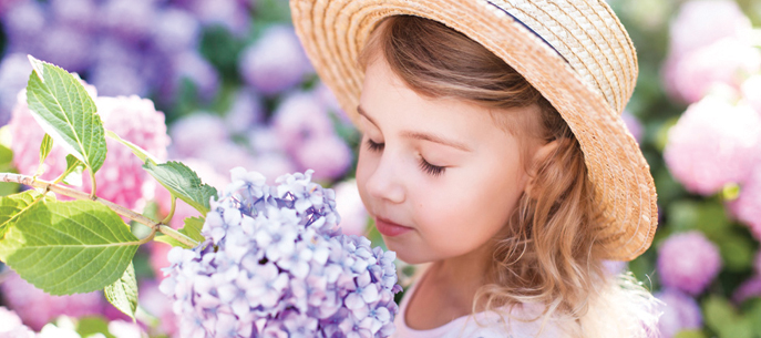Mon intrt : les fleurs