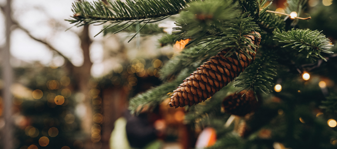 Un Nol dans la nature, version calendrier de lavent